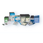 Иглы - в Казахстане